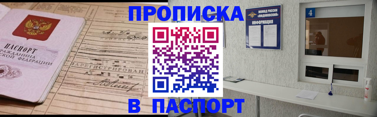 временная регистрация в Щёлкино